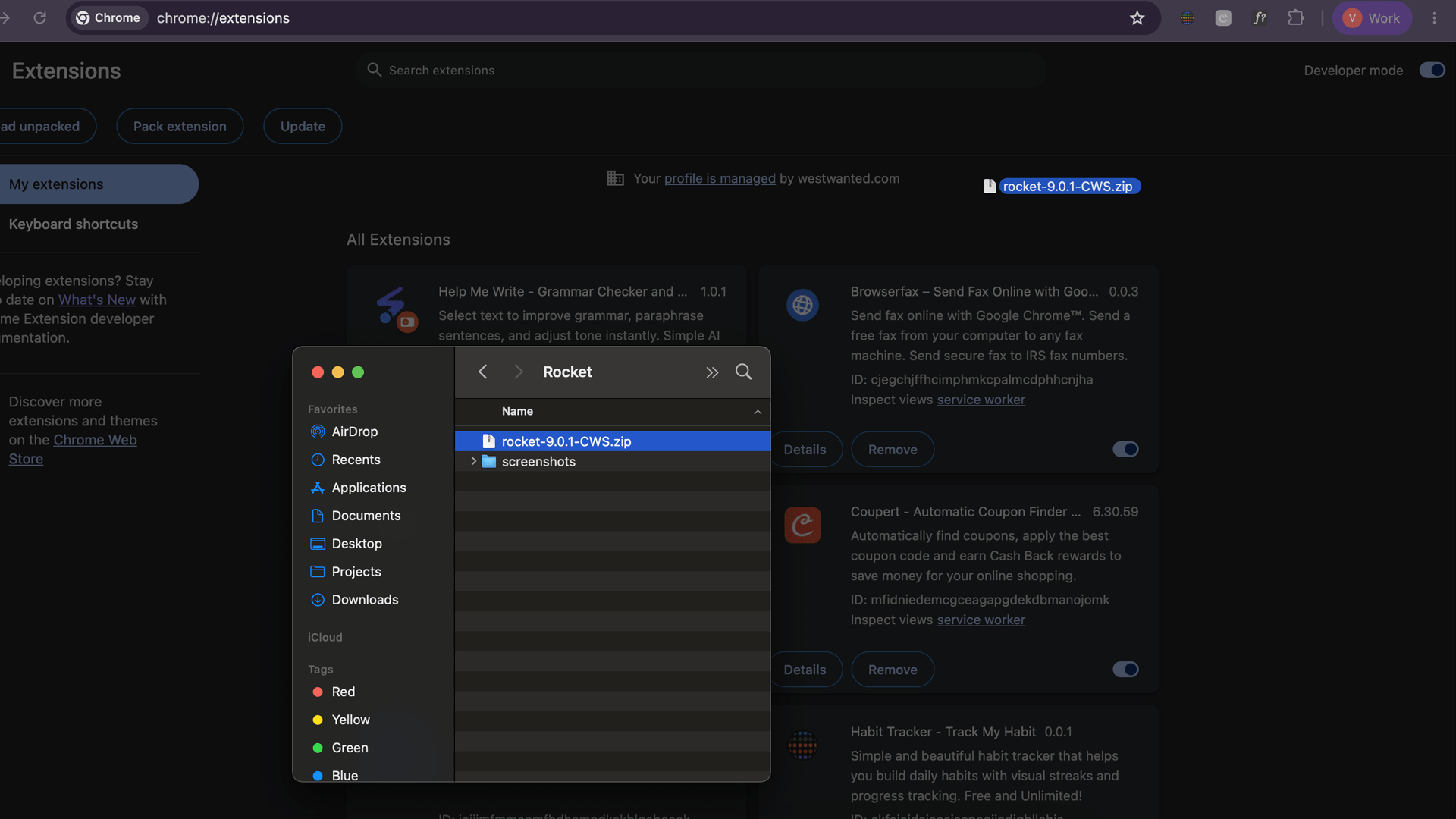 The chrome://extensions page with Developer mode turned on, ready to add the Rocket Relay .zip